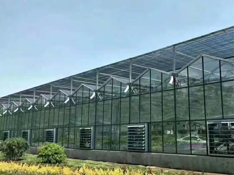 Mi teszi a Steel Vertical Farmot a fenntartható mezőgazdaság jövőjévé?